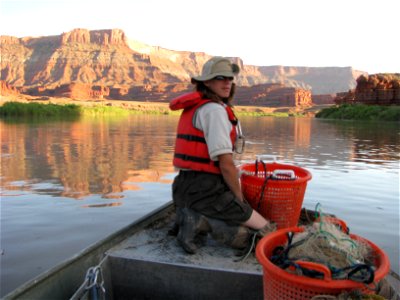 Trammel netting in the Canyonlands photo