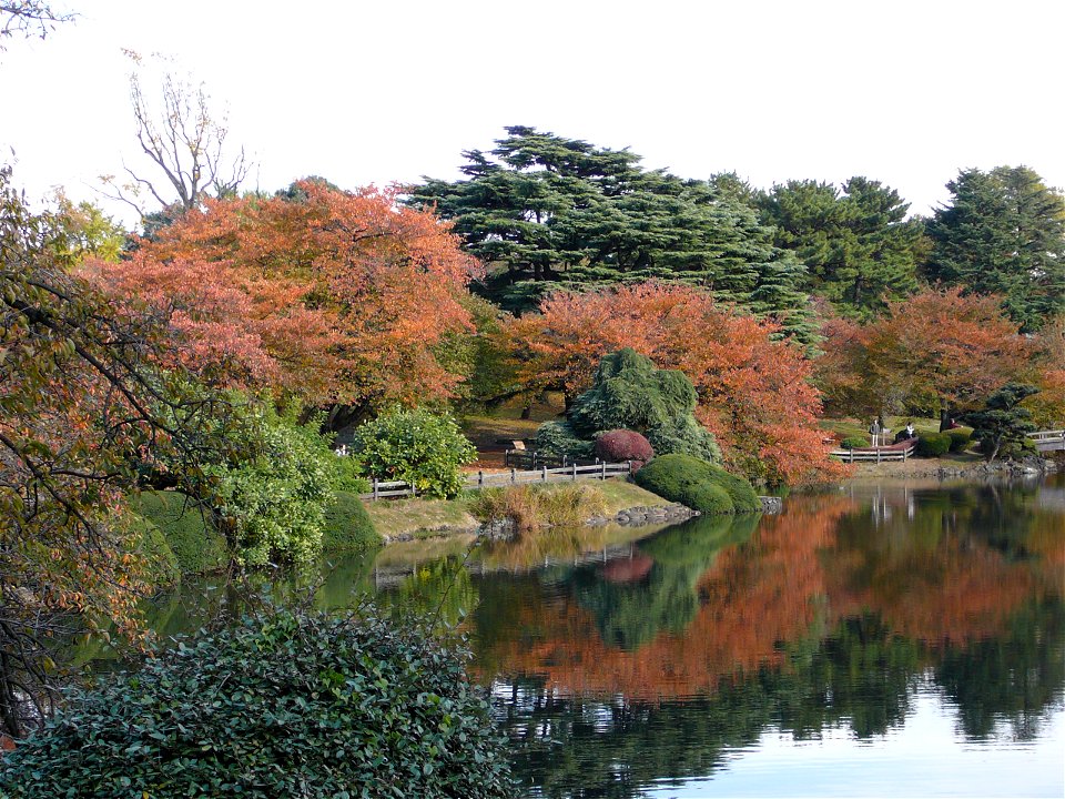 Shinjuku Gyoen National Garden in Shinjuku-ku and Shibuya-ku photo