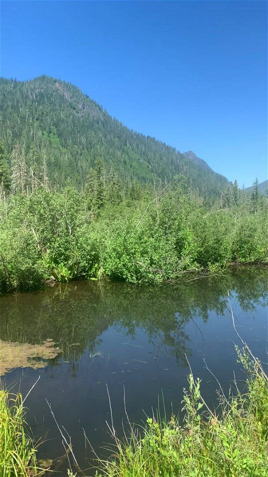 Big Four on a clear day, Mt. Baker-Snoqualmie National Forest. Video by Sydney Corral June 28, 2021