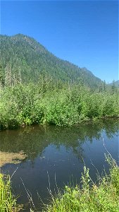 Big Four on a clear day, Mt. Baker-Snoqualmie National Forest. Video by Sydney Corral June 28, 2021 photo