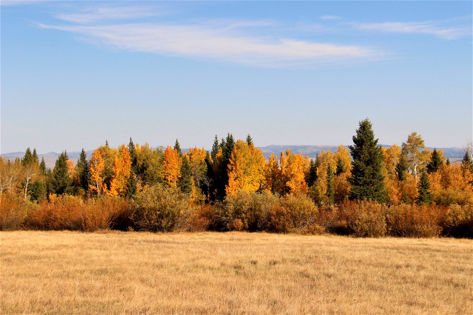 Colorful Autumn