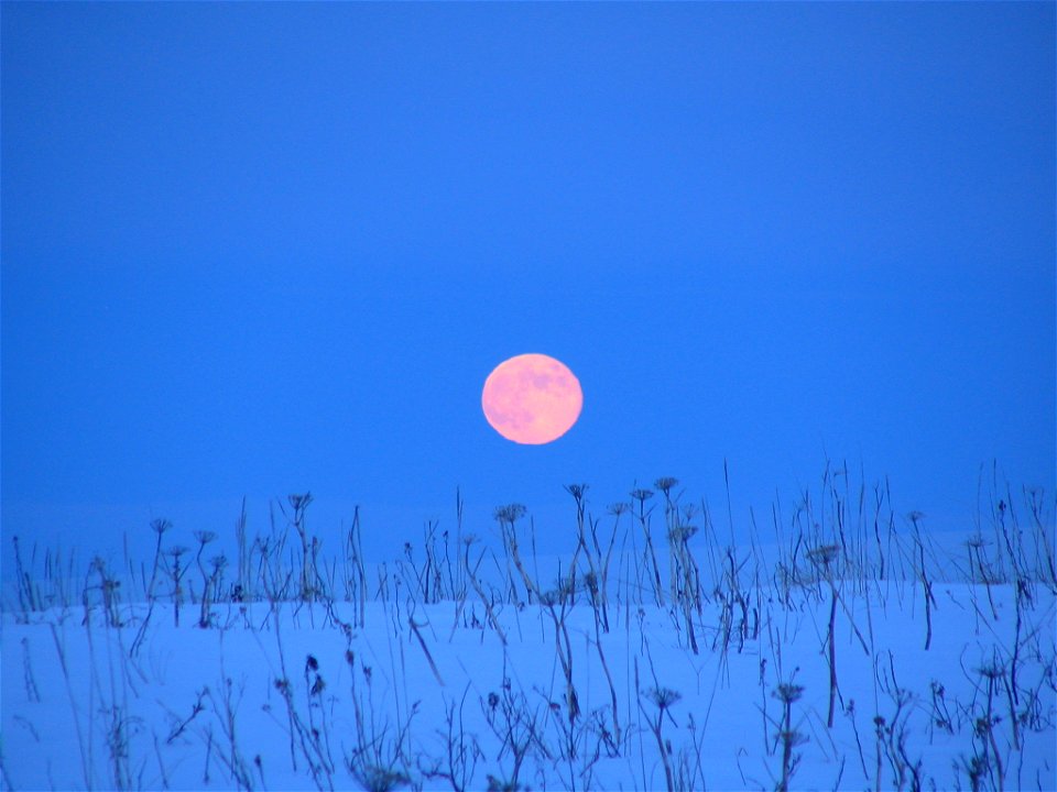 Moonrise at Izembek