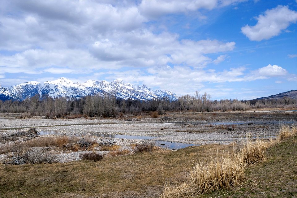 Spring on the National Elk Refuge