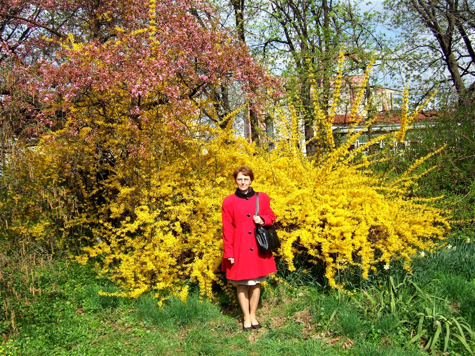 gradina botanica_88