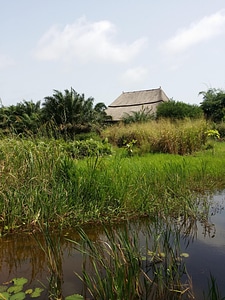 Landscape nature lake photo