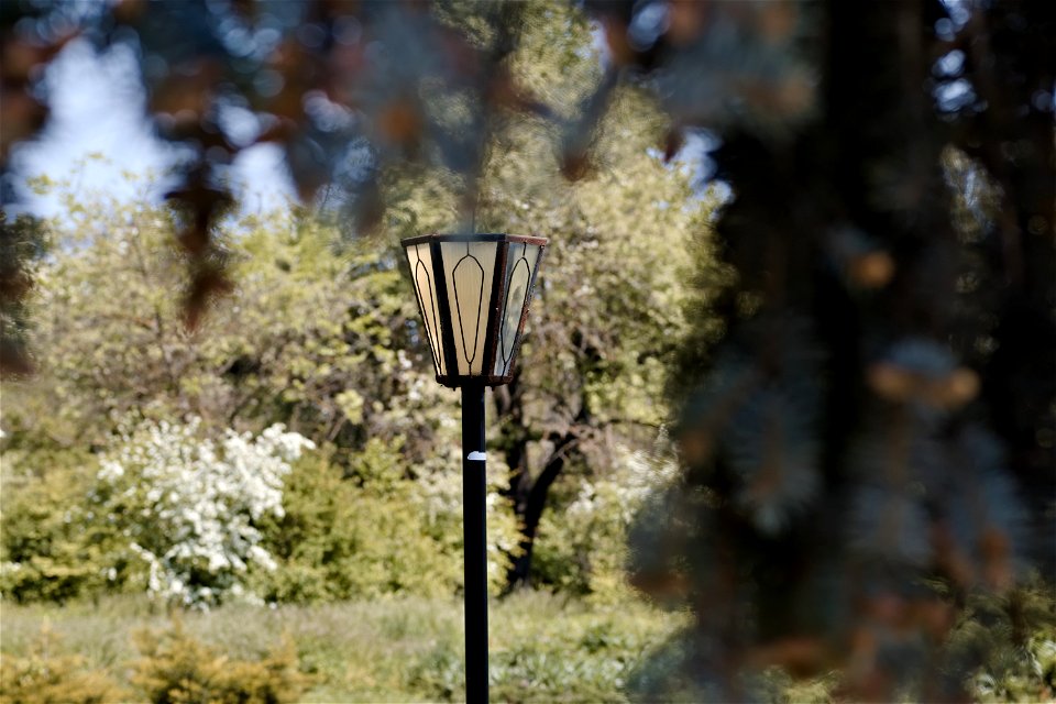 A street lamp, Chisinau Botanical Garden