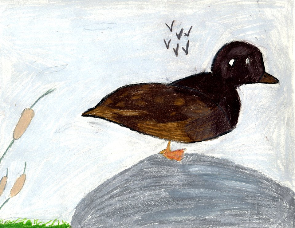 Grp 1 HM Sophia Christman Kodiak 9
