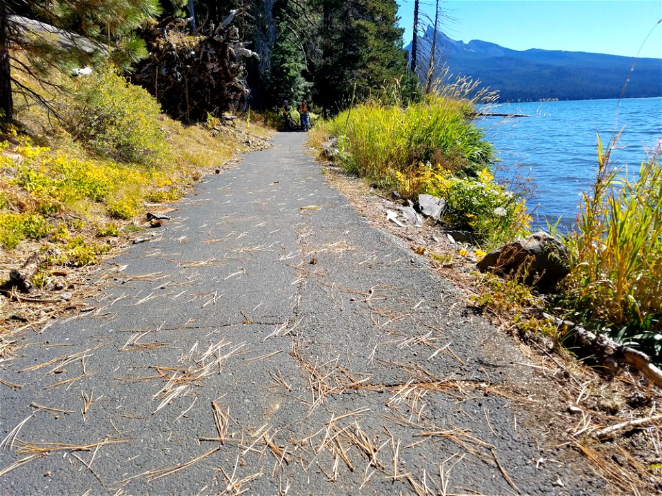 dellenbeck-trailjpg_49385034553_o