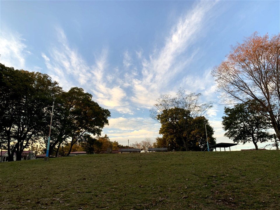 Koyamadaiiseki Park in Higashikurume-shi in November