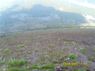 200704_0316