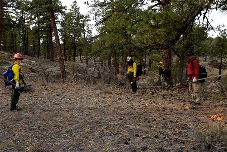 Ray Mesa Prescribed Burn Fall 2021