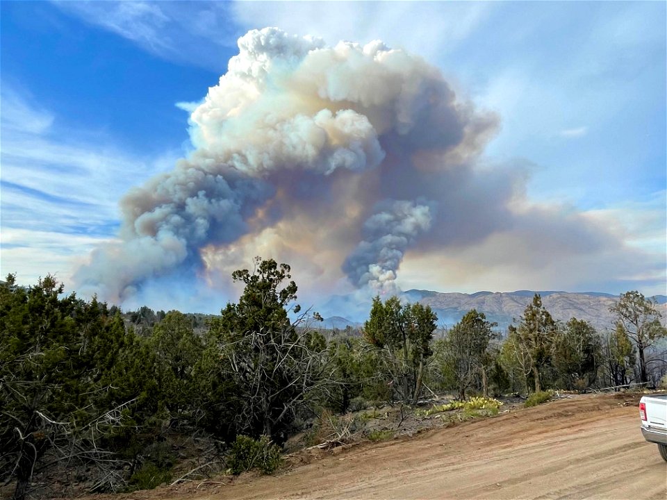 Dodge Springs Fire