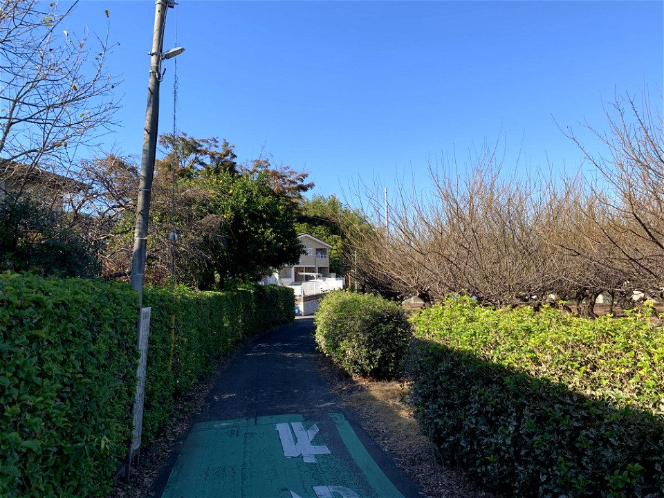Chuocho, Higashikurume-shi in November