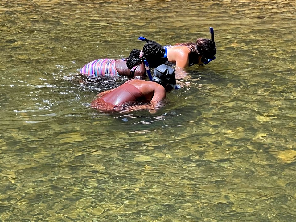 20220806-FS-Monongahela-HorseshoeGBO-KMB-9