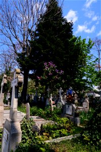 cimitir Sfanta Vineri (6)