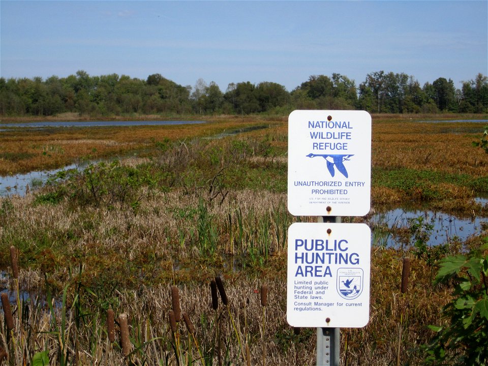 Snakey Point Marsh