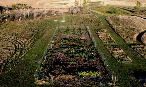 Back Garden From the Sky