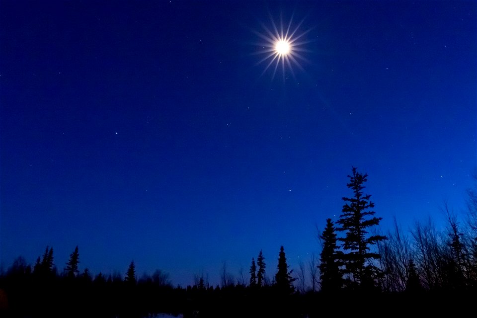 Moon on a winter night