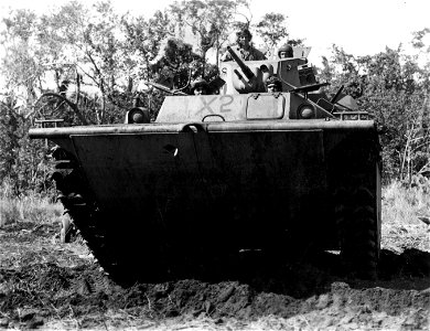 Armored amphibious tractors on maneuvers. Guadalcanal. 3 March, 1944.