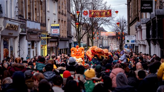 Dragon 1 - Chinese New Year photo