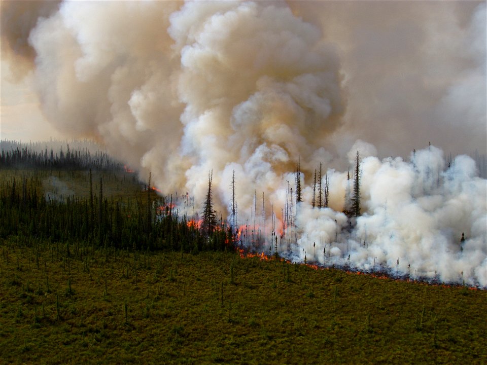 2021 USFWS Fire Employee Photo Contest Category: Landscape and Fire