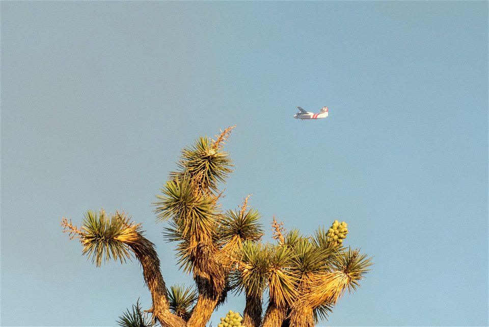 Air Operations for the Elk Fire