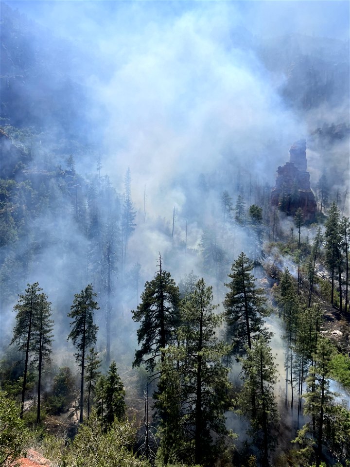 Miller Fire (2023) photo