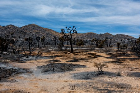 Elk Fire Burned Area