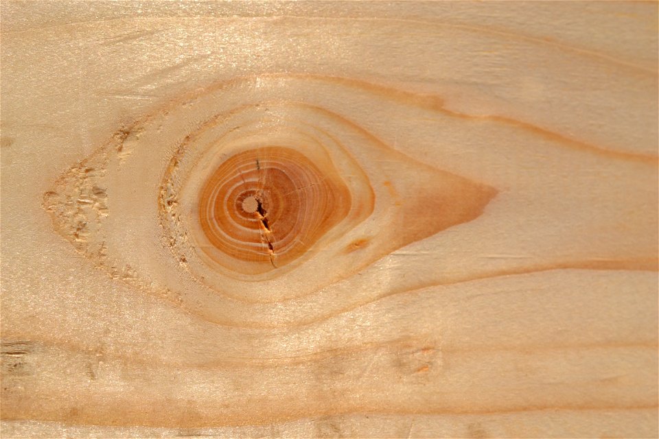 Wood