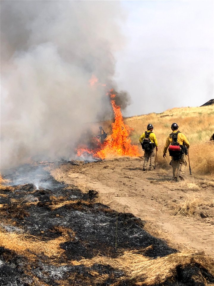 2022 BLM Fire Employee Photo Contest Category - Fire Personnel