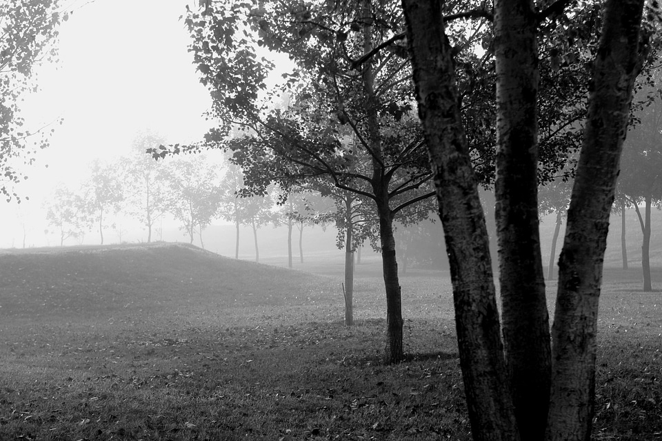 Black and white misty mysterious