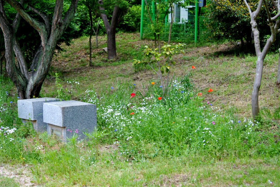 Suncheonman Bay National Garden Expo