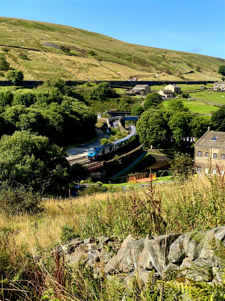 Last of the Summer Wine
