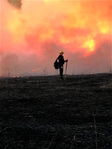 Personnel Category - USFWS 2022 Photo/Video Contest