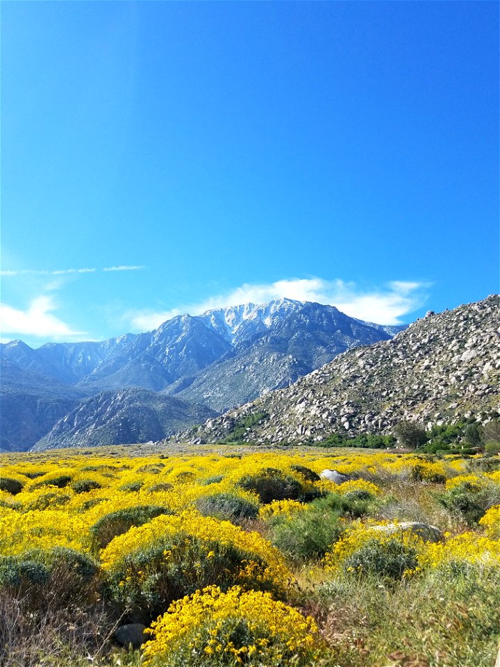 Pacific Crest Trail in the Springtime