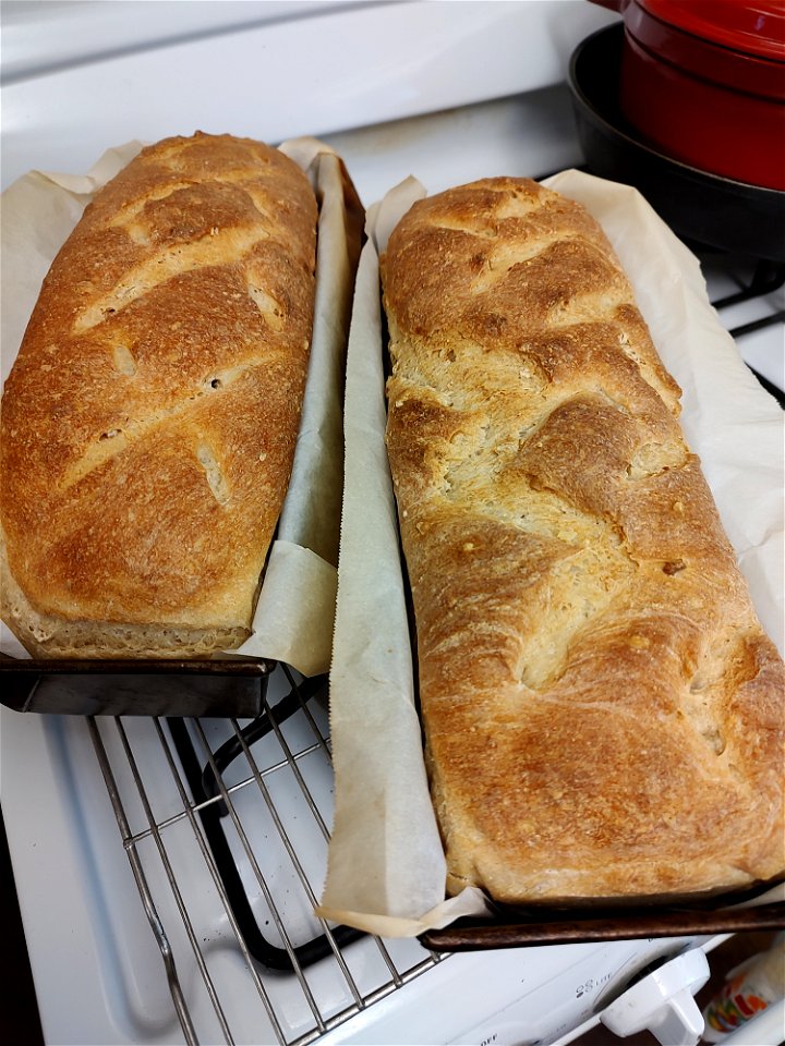 Freshly baked sourdough bread in loaf pans photo