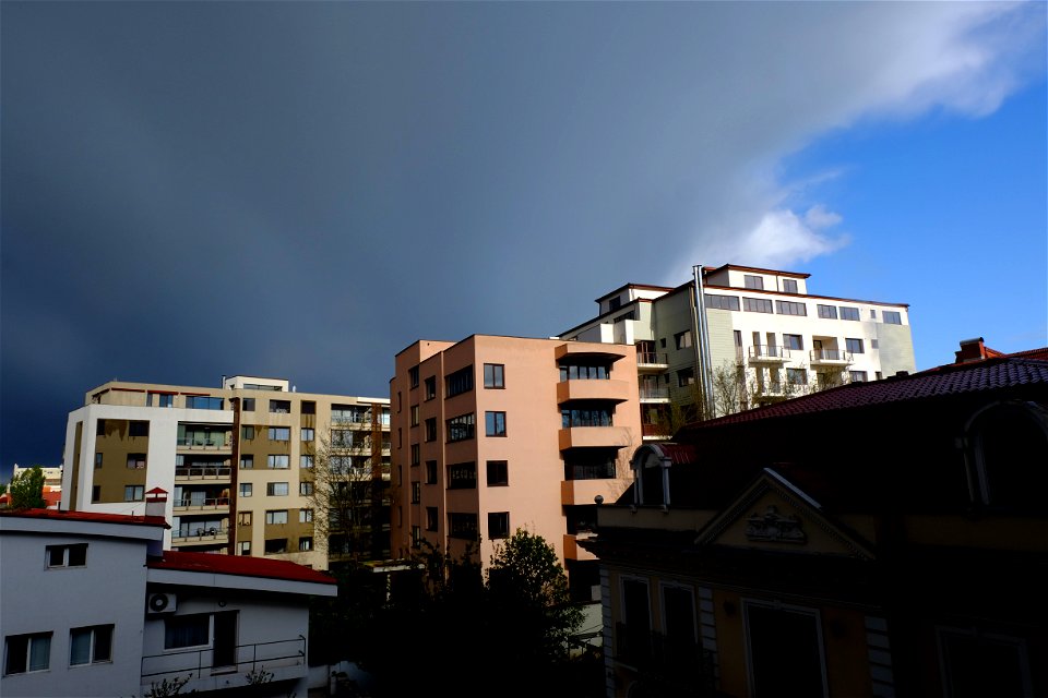 nori-sedNCaramfil2015_0422_083540