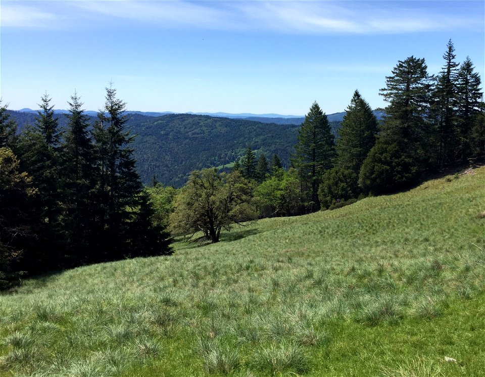 Lacks Creek