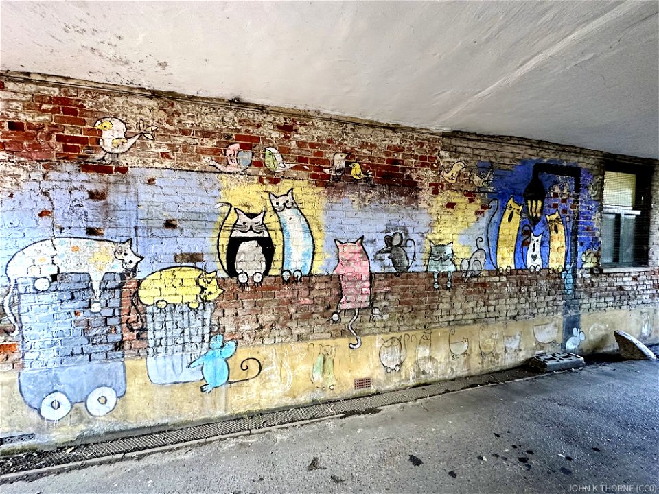 Nellies Alley Sittingbourne Cat Mural