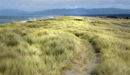 050 - TOLOWA DUNES (09-17-2022) del norte co, ca -03