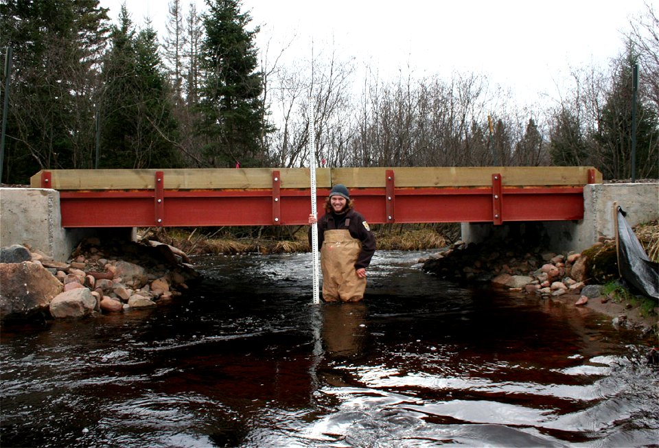 Free Span Bridge