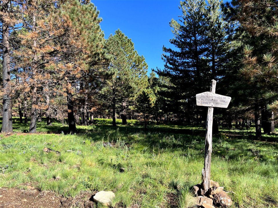 at Kachina trail and weatherford canyon trail intersection low SBS