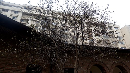 Antim_monastery-2023_0226_171125