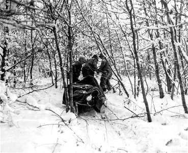 SC 199102 - Medics remove the body of an American casualty from the woods, using the new ski-tyre litter, perfectly suitable for the snowy terrain now being encountered by American troops of the 90th Division near Berle, Luxembourg.