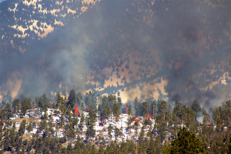 Dry Lake Hills burn project January 2023 photo