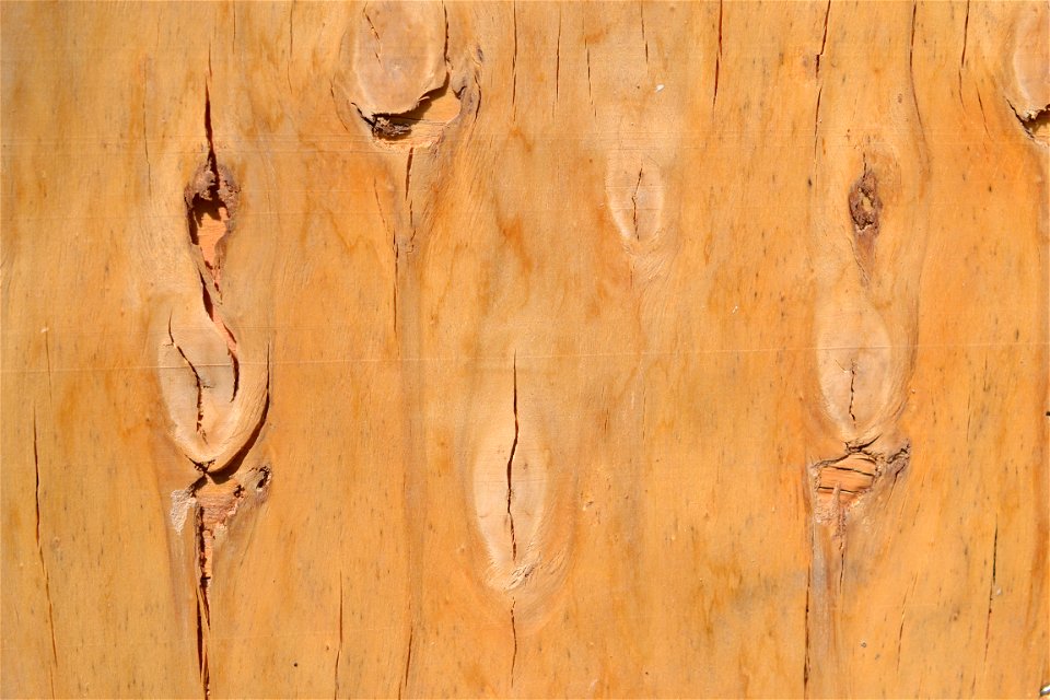 Texture