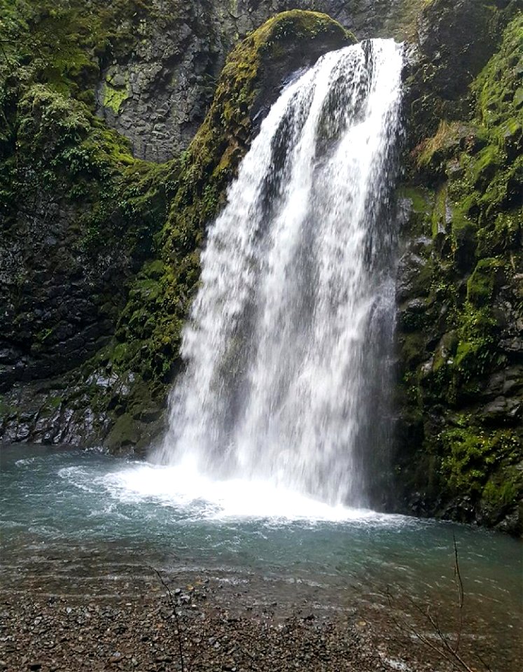 fall-creek-falls-judy2016jpg_49364663262_o photo