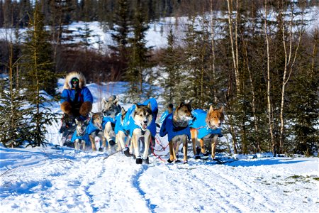 Kobuk 440 racers at Paniqsigvik shelter cabin. photo