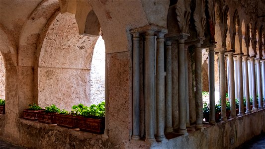 DSCF5229
