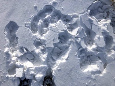 100 Steps